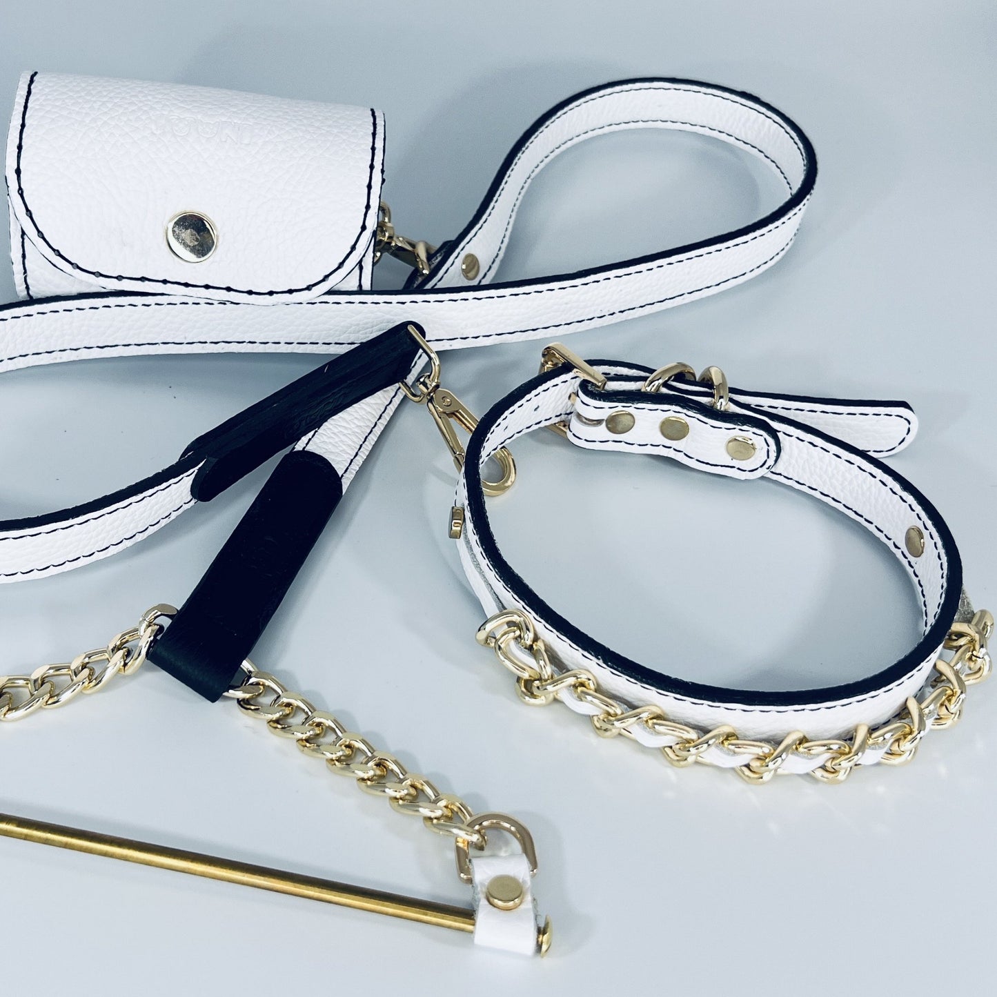 Leather Dog Leash & Pouch Set