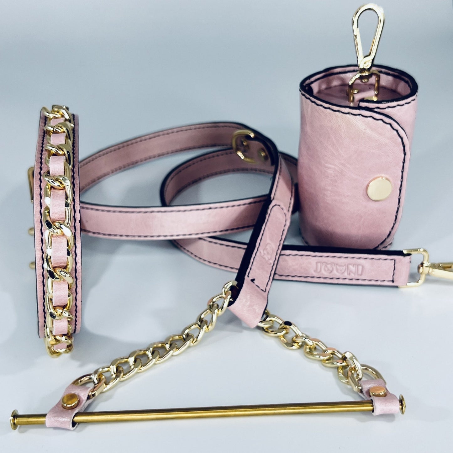 Leather Dog Leash & Pouch Set