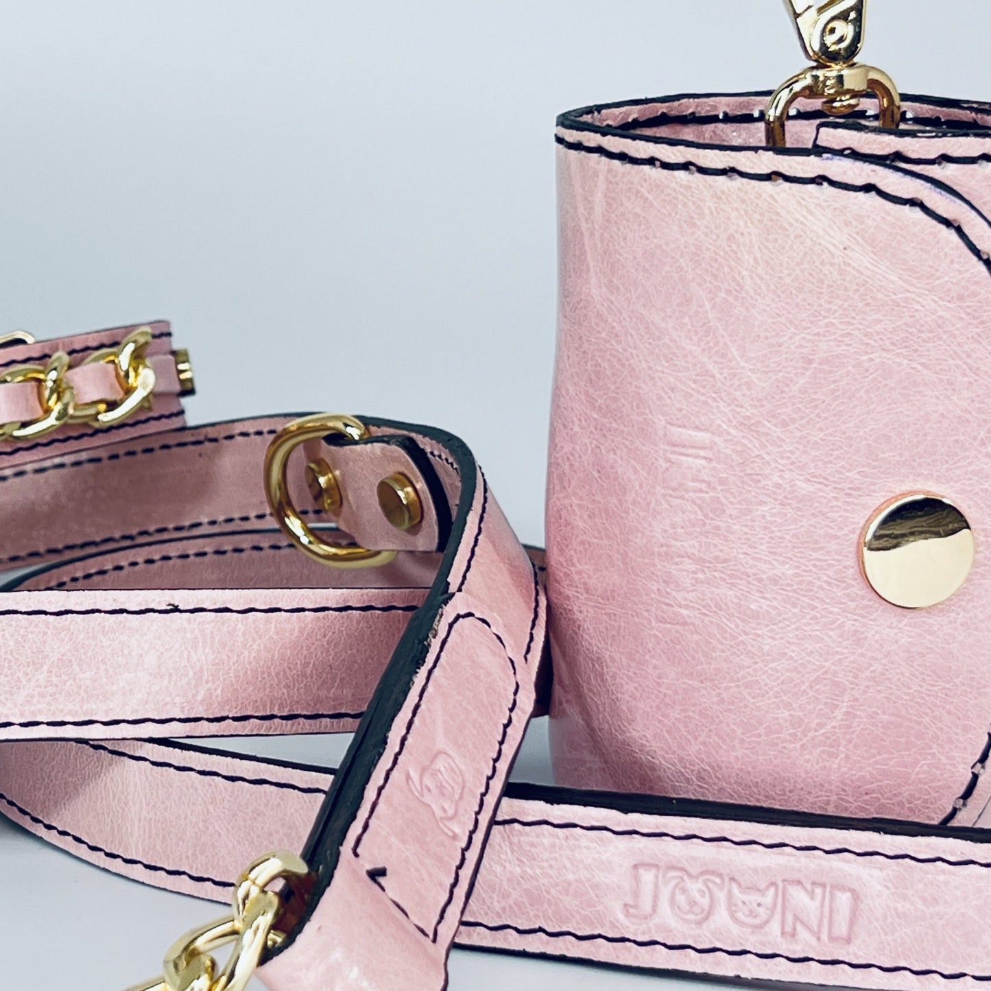 Leather Dog Leash & Pouch Set
