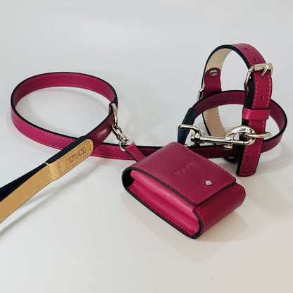 Handcrafted Leather Dog Leash & Pouch Set — Matching Leather Leash & Treat Pouch