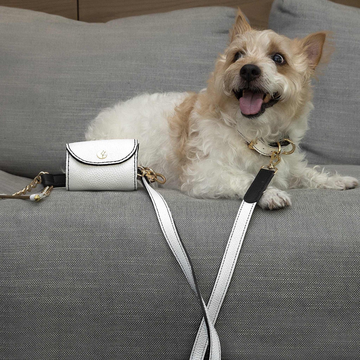 Leather Dog Leash & Pouch Set