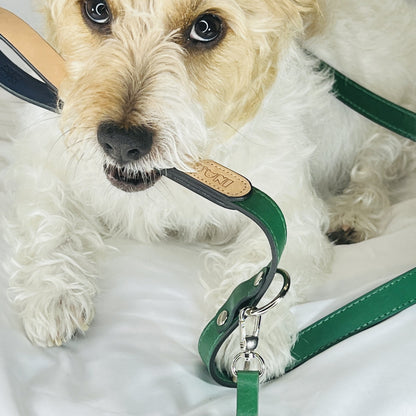 Handcrafted Leather Dog Leash & Pouch Set — Matching Leather Leash & Treat Pouch