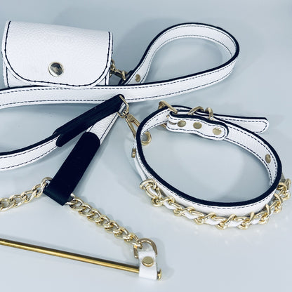 Leather Dog Leash & Pouch Set