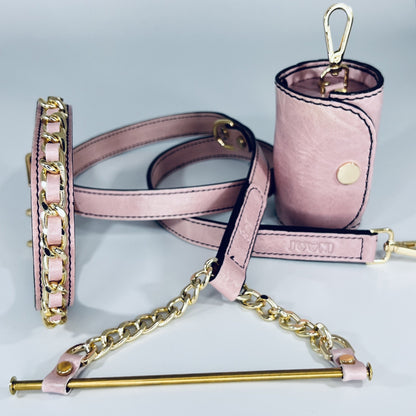 Leather Dog Leash & Pouch Set