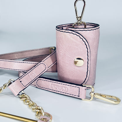 Leather Dog Leash & Pouch Set