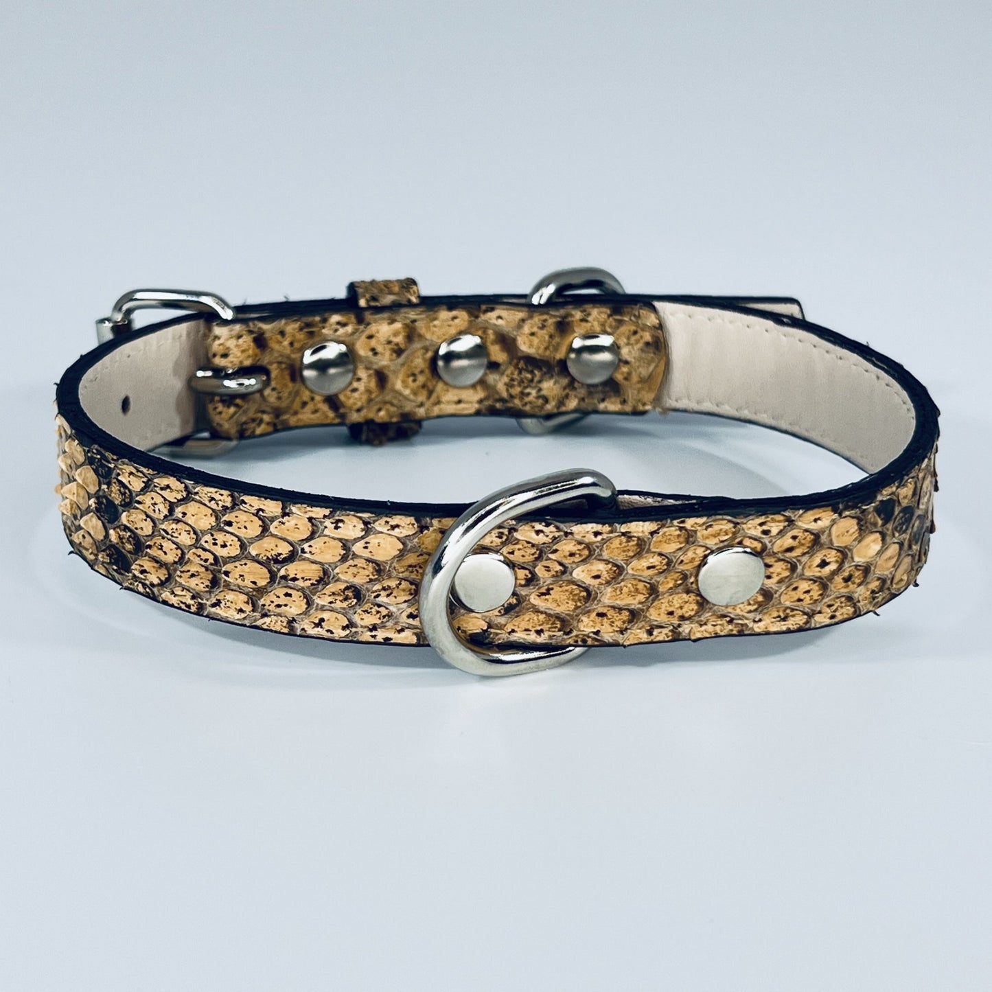 Snakeskin Chic Dog Leash